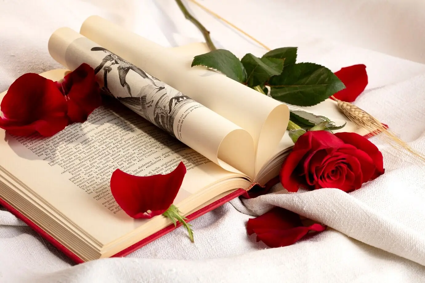 Натюрморт на тему Сант-Жорди к Дню книг и роз.